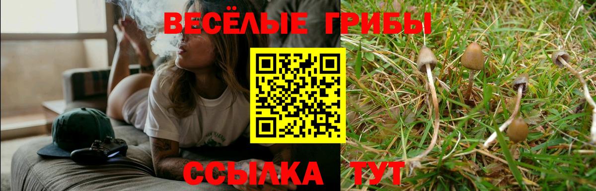 Галлюциногенные грибы GOLDEN TEACHER Сарапул