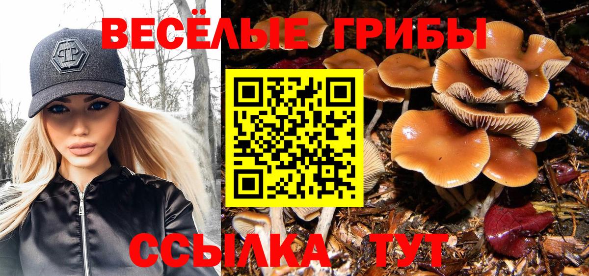 Сарапул  Псилоцибиновые грибы Psilocybe  Вход с VPN 